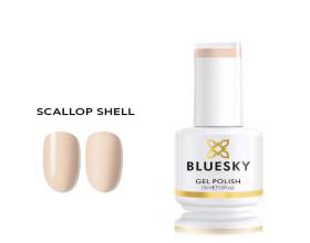 Bluesky Scallop Shell